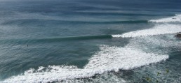 IMG_0821