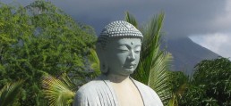 IMG_0339